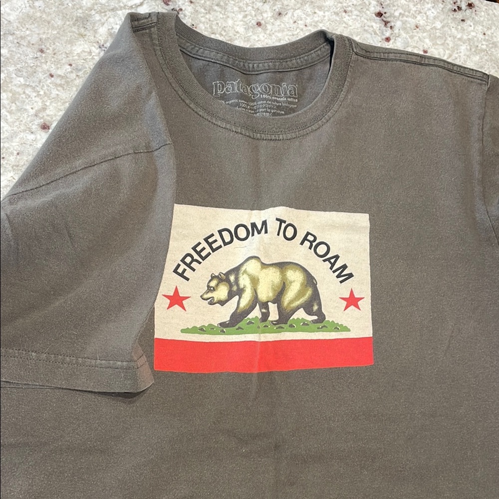 Patagonia Freedom To Roam T-shirt